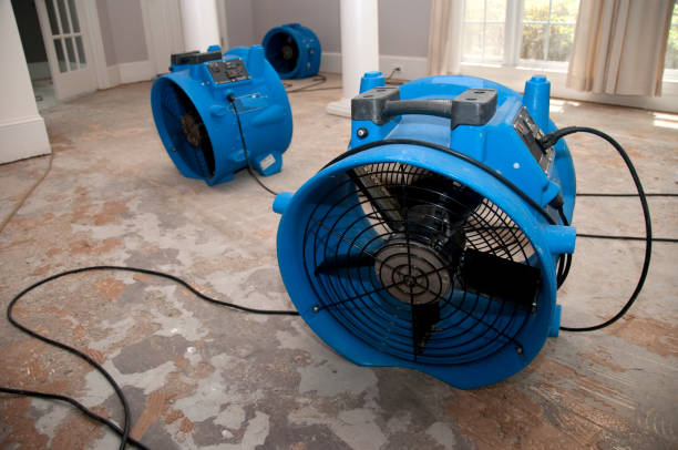 Best 24-hour water damage restoration  in Abingdon, VA