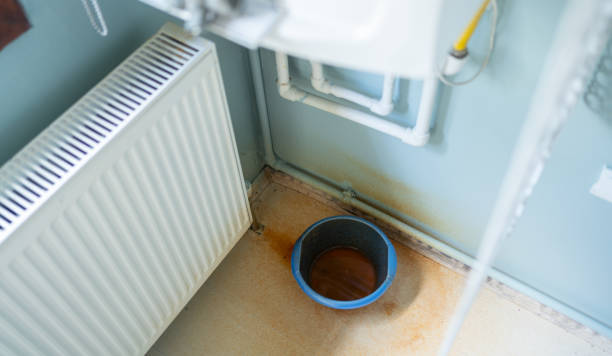 Best Local water damage restoration  in Abingdon, VA