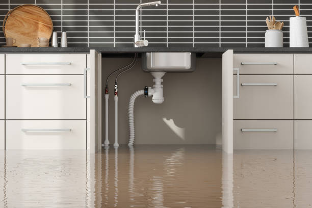 Best Flood restoration services  in Abingdon, VA