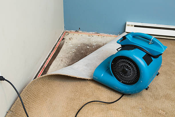 Trusted Abingdon, VA Water damage restoration Experts